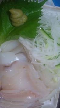 う○こ!?発見♪