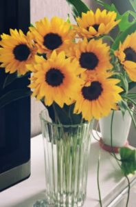 ouji_sunflower