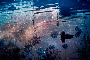 王子日記20171007