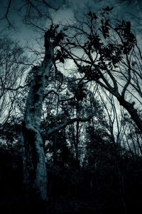 王子日記20171024