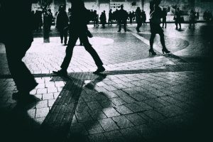 王子日記20171119