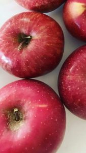 王子日記20171124a