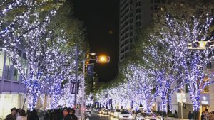 王子日記20171203