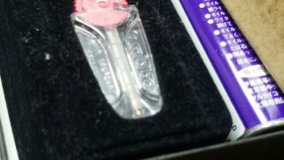 王子日記20171215