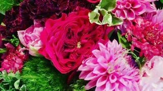 王子日記201712117