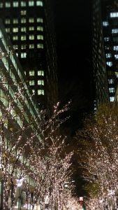 王子日記20171219