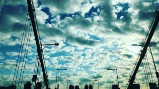 王子日記20171221