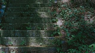 王子日記20171207