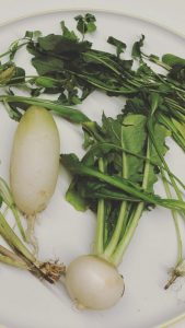 王子日記20180119