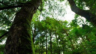 王子日記20180118