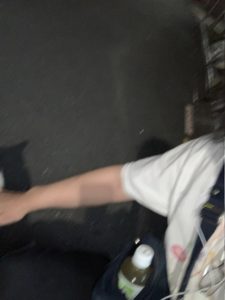 野良猫スリスリ